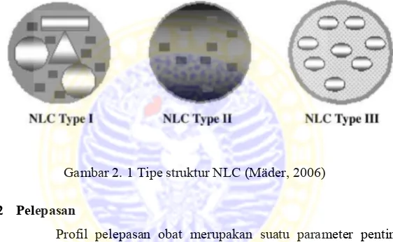 Gambar 2. 1 Tipe struktur NLC (Mäder, 2006) 
