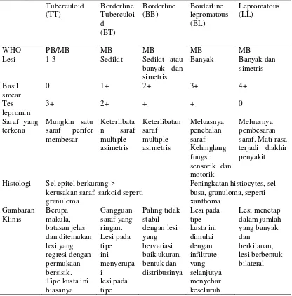 Tabel 2.3 Klasifikasi penyakit kusta berdasarkan skala menurut Ridley & Jopling tahun (1966) 