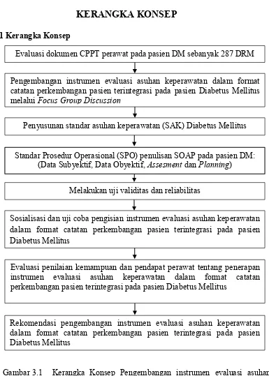 Gambar 3.1  Kerangka Konsep Pengembangan instrumen evaluasi asuhan keperawatan dalam format catatan perkembangan pasien terintegrasi pada pasien Diabetes Mellitus di Ruang Rawat Inap RSUD