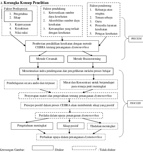 Gambar 3.1. Kerangka Konseptual menganalisis pengaruh metode ceramah dan brainstorming (CEBRA) terhadap tingkat pengetahuan dan sikap penanganan dysmenorrhea menggunakan teori Perilaku Kesehatan Green (Green 1991)