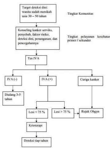 Gambar 2.5. Alur Diagnosis, Deteksi Dini, dan Tata Laksana Kanker serviks di Indonesia (dengan IVA) (Andrijono et al., 2013) 