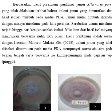 Gambar 14. Hasil purifikasi jamur Alternaria porri (a) dan gambar literatur(b)
