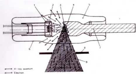 Gambar 2.1 Skema tabung sinar-X (Hoxter,1982)