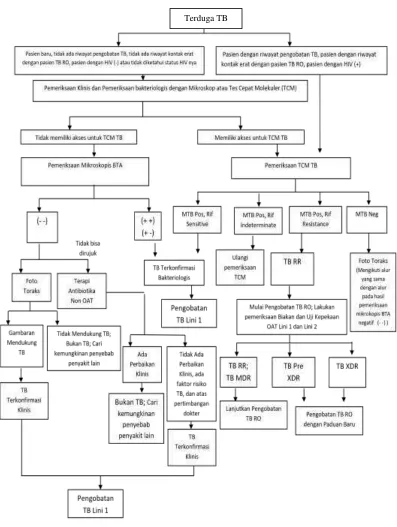 Gambar 2.2 Alur Diagnosis Tuberkulosis Paru Pada Orang Dewasa (Kemenkes, 2017) 