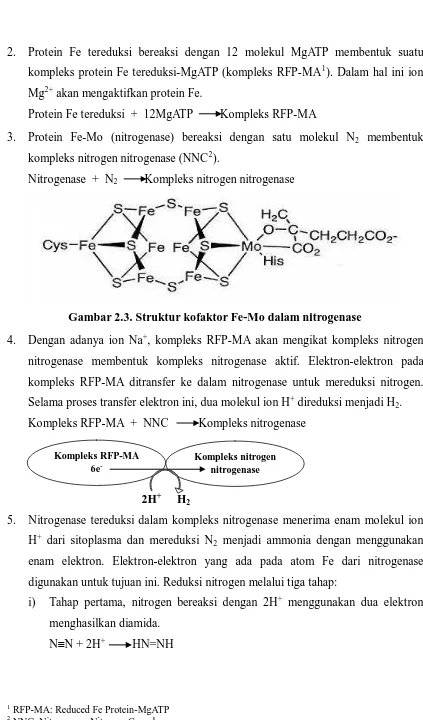 Gambar 2.3. Struktur kofaktor Fe-Mo dalam nitrogenase 