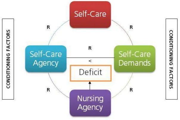 Gambar 2.2  Kerangka konsep teori Self Care Orem 