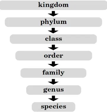 Table 1 shows how this system can be used to classify a human being. 