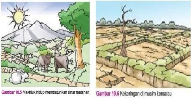 Gambar 2.4 