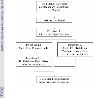 Gambar 1.  Diagram alur penelitian 