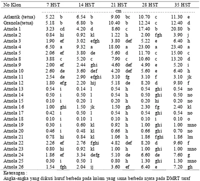 Tabel 2.  Tinggi klon-klon kentang hasil persilangan cv. Atlantik dan cv. Granola yang ditumbuhkan secara in vitro pada media MS0 