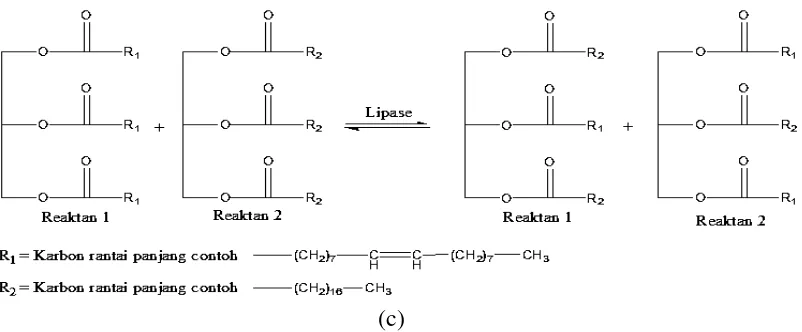 Gambar 2.1 Beberapa reaksi katalisis oleh enzim lipase. (a) Asidolisis, (b)  