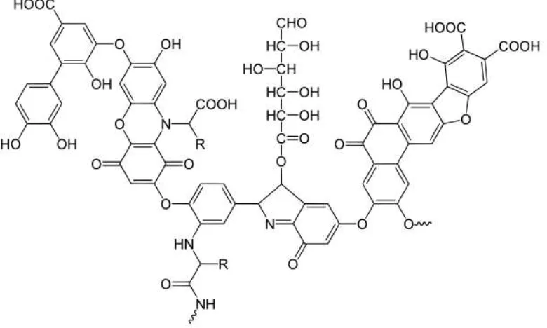 Gambar 4.3 Struktur asam humat 