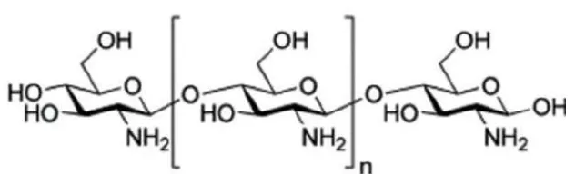 Gambar 2.9 Struktur Kimia Kitosan (Hasan A et al, 2015) 