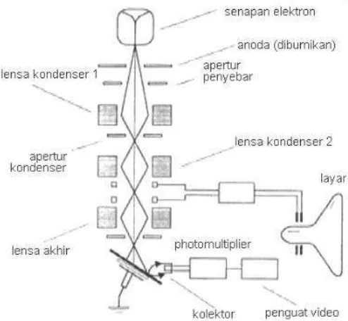Gambar 2.11 Skema Scanning Electron Microscopy (Anggraeni, 2014). 