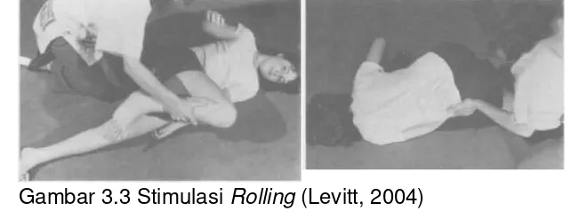Gambar 3.3 Stimulasi Rolling (Levitt, 2004) 