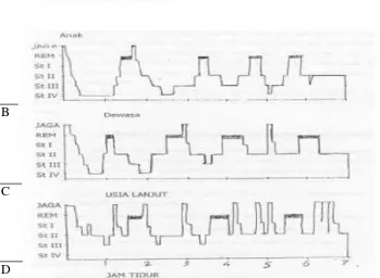 Gambar 2.4 Perbandingan dari waktu rata-rata tidur normal (A) dengan pola tidur pada anak sehat (B) pola tidur pada orang dewasa (C) dan pada lansia (D) dewasa secara umum (Kalat, 2015) 