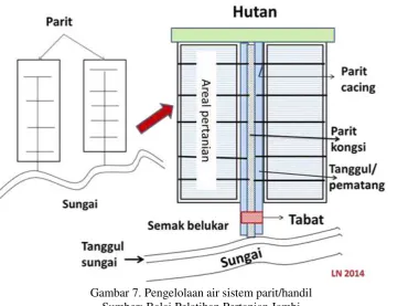 Gambar 7. Pengelolaan air sistem parit/handil 