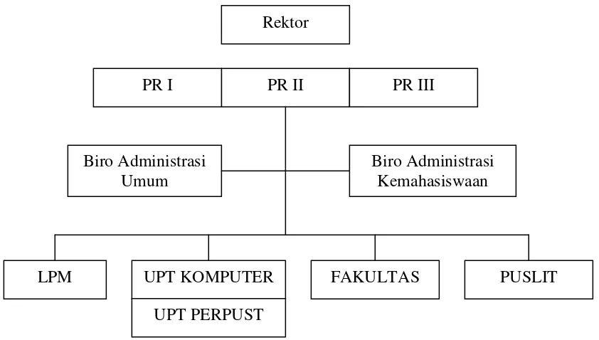 Gambar 2.1. Struktur Organisasi Makro UPT Perpustakaan Universitas Negeri Malang 