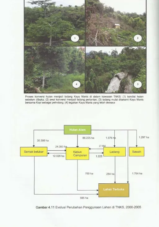 Gambar 4.11 Evolusi Perubahan Penggunaan Lahan di TNKS, 2000-2005 