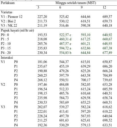 Tabel 2. Pengamatan luas daun tanaman jagung (cm2) pada perlakuan varietas dan pupuk hayati pada umur 3, 6, 9 dan 12 MST  