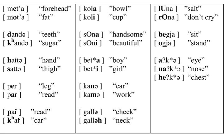 Table 3 Minimal Pair in India language 