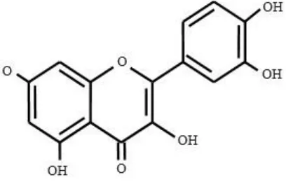 Gambar 2.1.  Kerangka C6 – C3 – C6 Flavonoid (Redha 1985) 