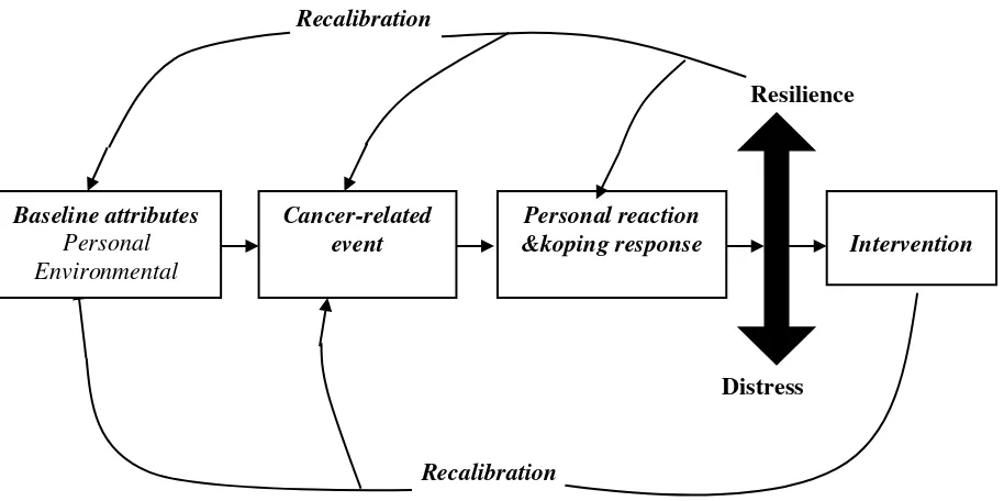 Gambar 2.1 Model resiliensi pada orang dewasa dengan  kanker   ( Deshields et al. 2016) 