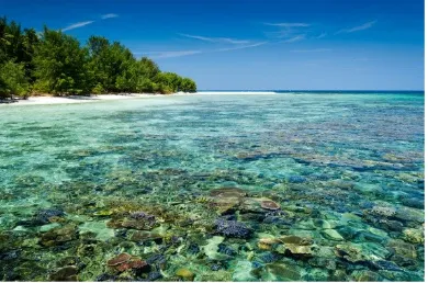 Gambar 11 : Taman Laut Nasional Bunaken ( Sumber : http://en.gocelebes.com )