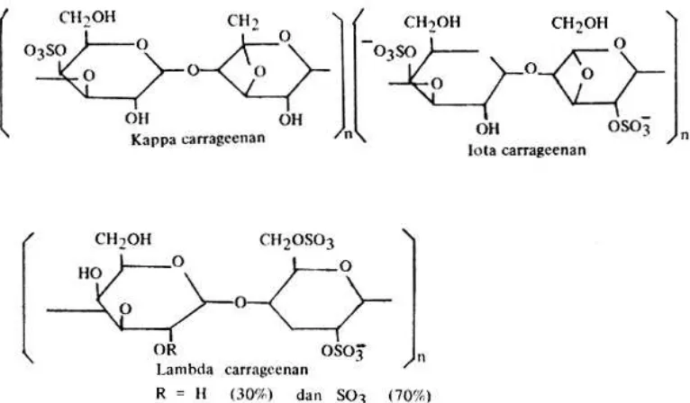Gambar 2.3 Struktur molekul berbagai jenis karaginan (Chaplin, 2007) 
