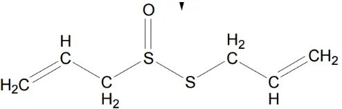 Gambar 2.6 Ikatan kimia senyawa   allicin (Hernawan dan Setyawan, 2003) 