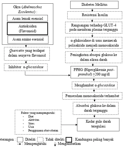 Gambar 3.1 Kerangka Konseptual Penelitian Pengaruh Pemberian RendamanOkra (Abelmoschus Esculentus) terhadap Regulasi Kadar GlukosaDarah pada Diabetes Mellitus