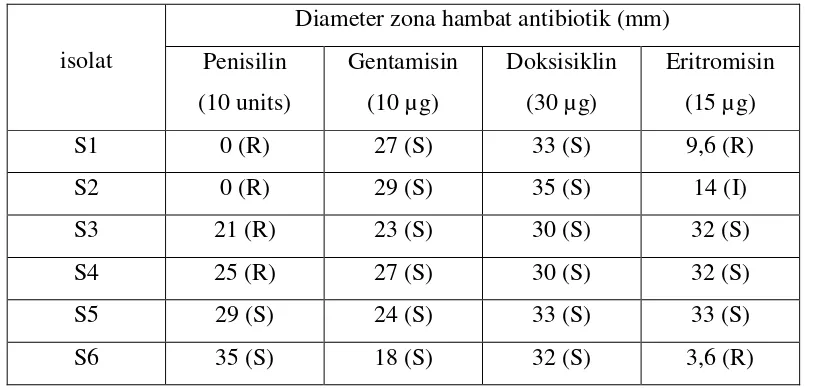Tabel 4.1.  Hasil uji identifikasi bakteri Staphylococcus aureus 