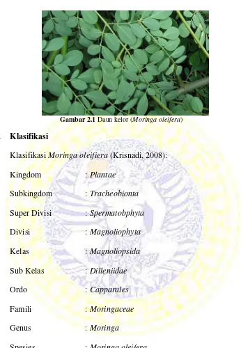 Gambar 2.1 Daun kelor (Moringa oleifera) 