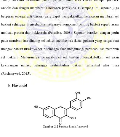 Gambar 2.2 Struktur kimia flavonoid 