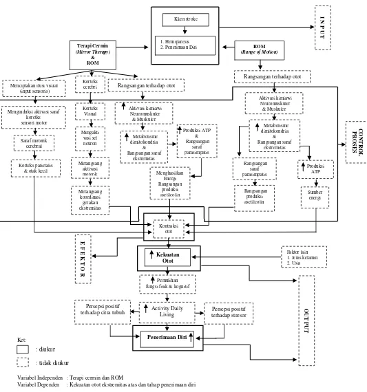 Gambar 3.1:    Kerangka konsep perbedaan pemberian kombinasi terapi cermin dan ROM (mirror  therapy & Range of Motion) dengan ROM terhadap kekuatan otot ekstremitas atas dan tahap penerimaan diri pada pasien stroke dengan hemiparesis