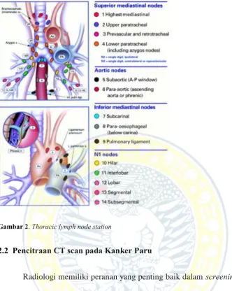 Gambar 2. Thoracic lymph node station 