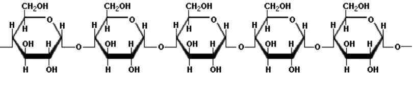 Gambar 2.5 Struktur Amilosa 