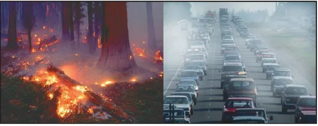 Gambar 2.4 kebakaran hutan dan polusi udara 