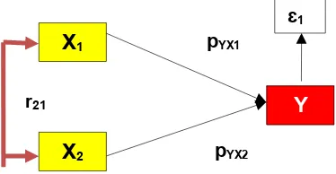 Model (Gambar 16.Path Analisis) Diagram Satu Jalur