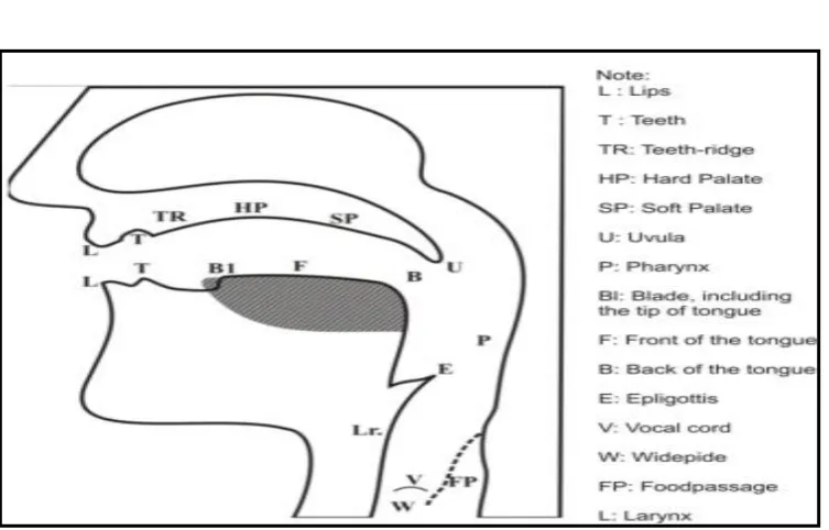 Figure 2.1 