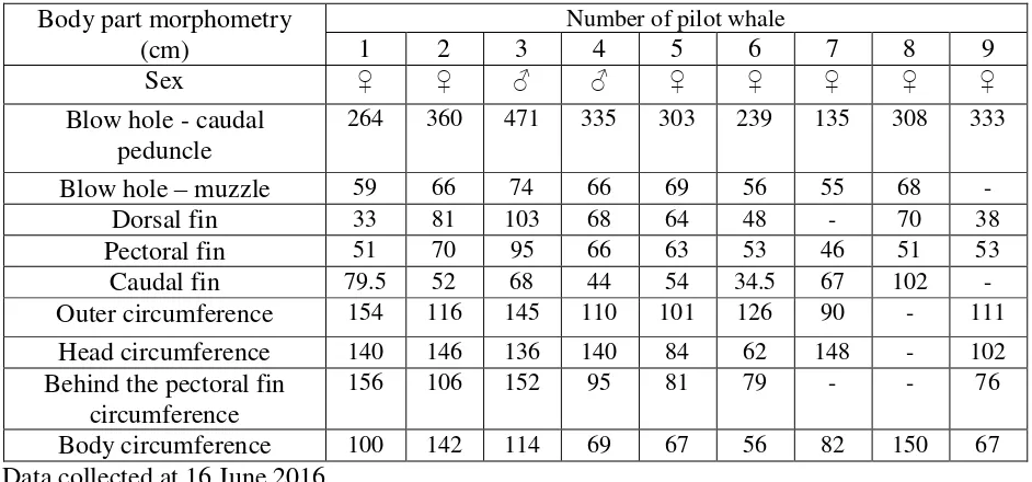 Table 1. Morphometry of body parts short finned pilot whale mass stranding for each  individually