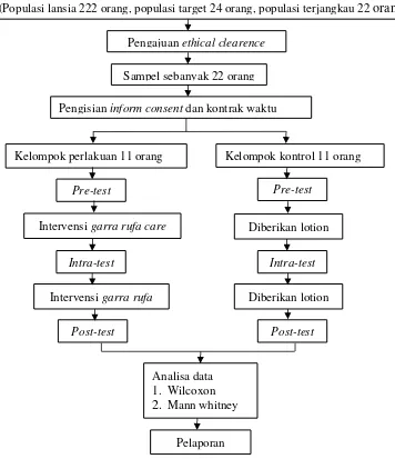 Gambar 4.1 Kerangka Operasional Penelitian Pengaruh Garra Rufa Care terhadap Perubahan Tingkat Stres Lansia dengan Dermatitis Kontak 