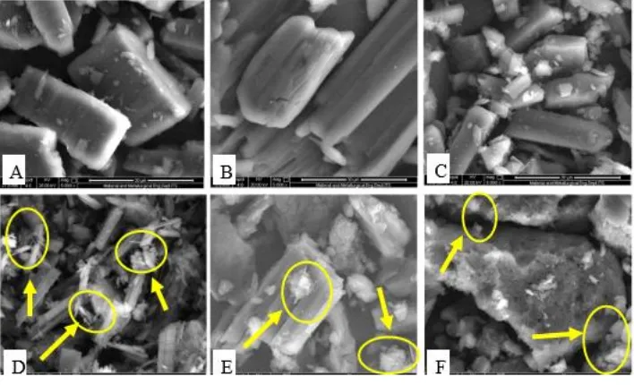 Figure 7: SEM of acyclovir (A), succinic acid (B), physical mixture of acyclovir-succinic acid (C) and three types of  cocrystal with ethanol (D), glacial acetic acid (E) and 0.1N HCl (F) solvent with magnification 5000x