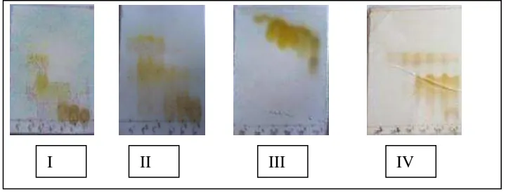 Gambar 10. Kromatogram KLT dari KCV tahap I-IV dengan eluen etilasetat/n-heksana 60% 