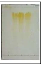 Gambar 15. Kromatogram dari KLT fraksi KI menggunakan eluen 