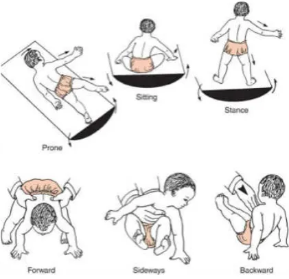 Gambar 3.5 Balance and protective reaction 