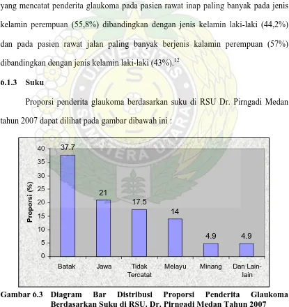 Gambar 6.3 Diagram Berdasarkan Suku di RSU. Dr. Pirngadi Medan Tahun 2007  