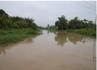 Gambar 3. Sungai Bedagai di Kota Sei Rampah (Stasiun 3) 