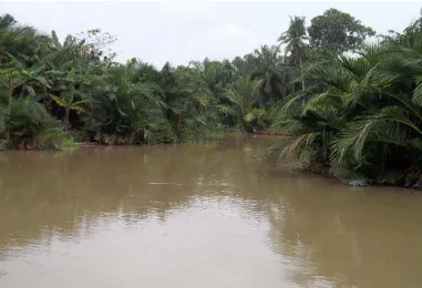 Gambar 4. Sungai Bedagai di Dusun I Pekan (Stasiun 4) 