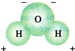 Gambar 4. Sebuah molekul polar H2O, mempunyai muatan yang berlawanan pada ujung yang berbeda 